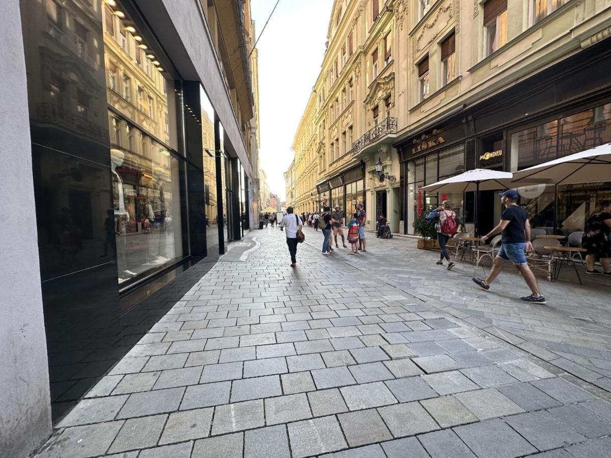 Gorkeho Apartment In City Centre Bratysława Zewnętrze zdjęcie